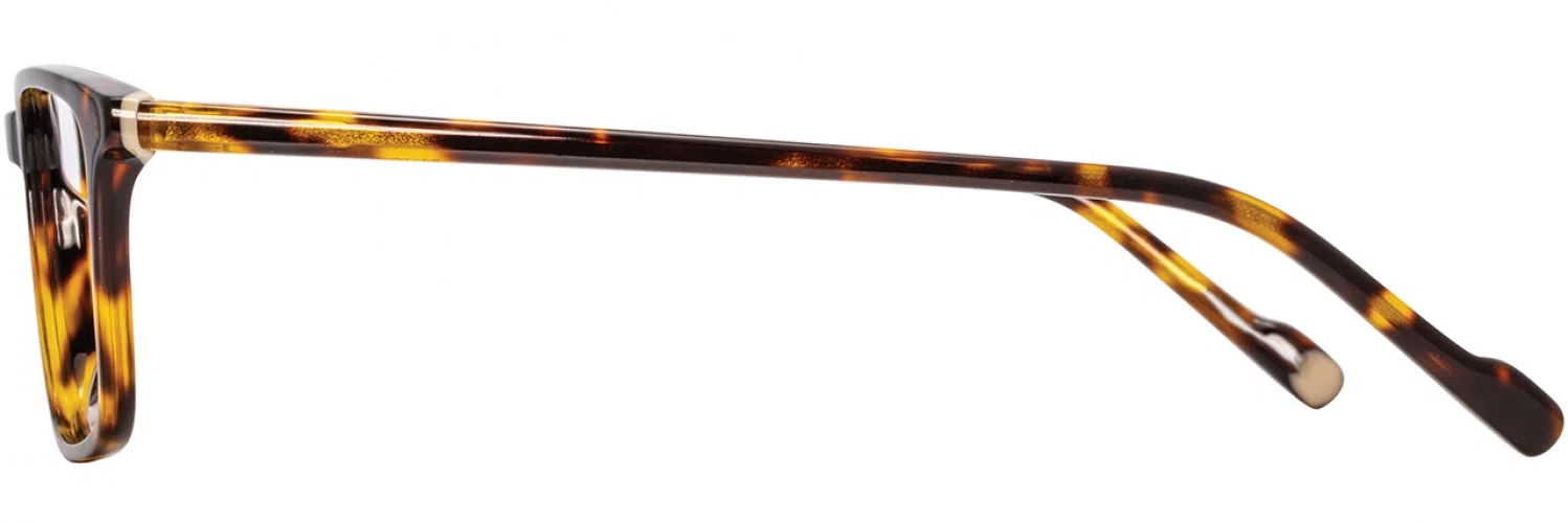 Scott Harris SH990 Eyeglasses - view 11